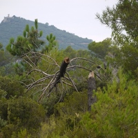 Photo de France - Le Cirque de Mourèze et le Lac du Salagou